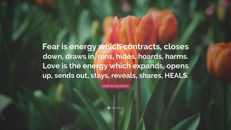 Neale Donald Walsch Quote: “Fear is energy which contracts, closes down, draws in, runs, hides, hoards, harms. Love is the energy which expands, opens up, sends out, stays, reveals, shares, HEALS.”