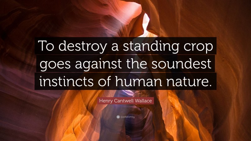 Henry Cantwell Wallace Quote: “To destroy a standing crop goes against the soundest instincts of human nature.”