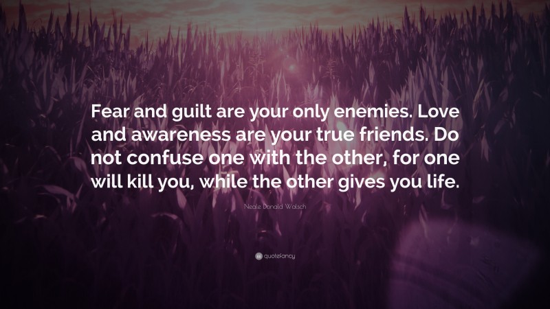 Neale Donald Walsch Quote: “Fear and guilt are your only enemies. Love and awareness are your true friends. Do not confuse one with the other, for one will kill you, while the other gives you life.”