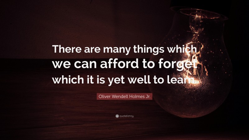 Oliver Wendell Holmes Jr. Quote: “There are many things which we can afford to forget which it is yet well to learn.”