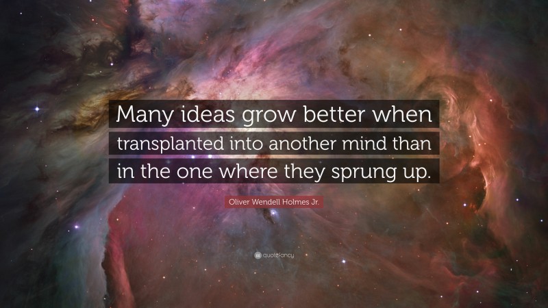 Oliver Wendell Holmes Jr. Quote: “Many ideas grow better when transplanted into another mind than in the one where they sprung up.”