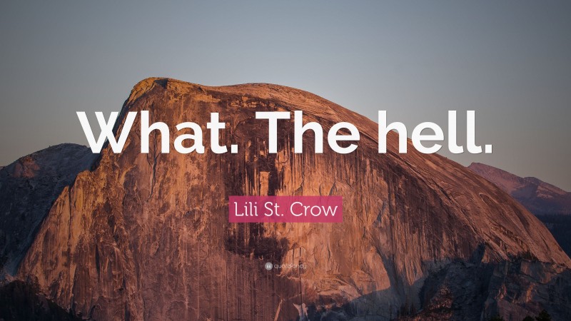 Lili St. Crow Quote: “What. The hell.”