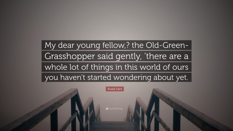 Roald Dahl Quote: “My dear young fellow,? the Old-Green-Grasshopper said gently, ’there are a whole lot of things in this world of ours you haven’t started wondering about yet.”