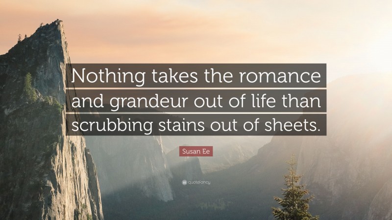 Susan Ee Quote: “Nothing takes the romance and grandeur out of life than scrubbing stains out of sheets.”