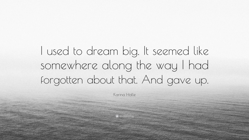 Karina Halle Quote: “I used to dream big. It seemed like somewhere along the way I had forgotten about that. And gave up.”