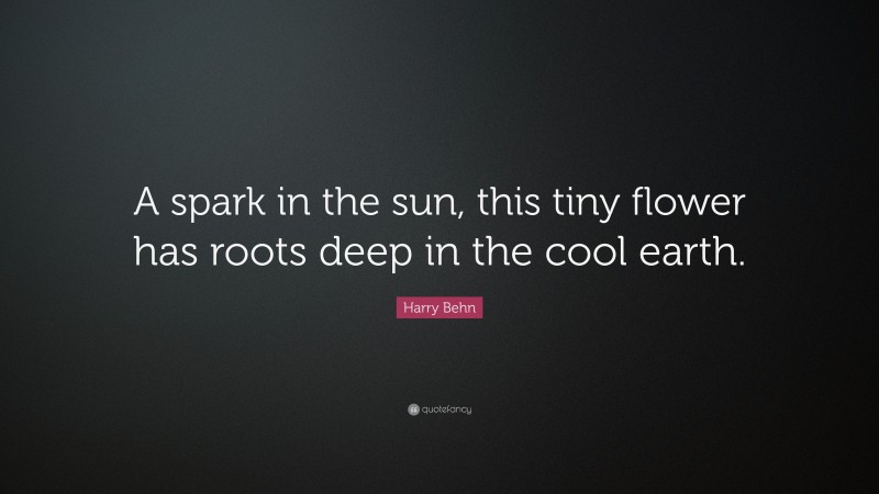 Harry Behn Quote: “A spark in the sun, this tiny flower has roots deep in the cool earth.”