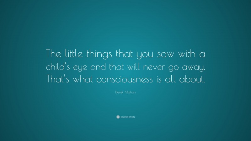 Derek Mahon Quote: “The little things that you saw with a child’s eye and that will never go away. That’s what consciousness is all about.”