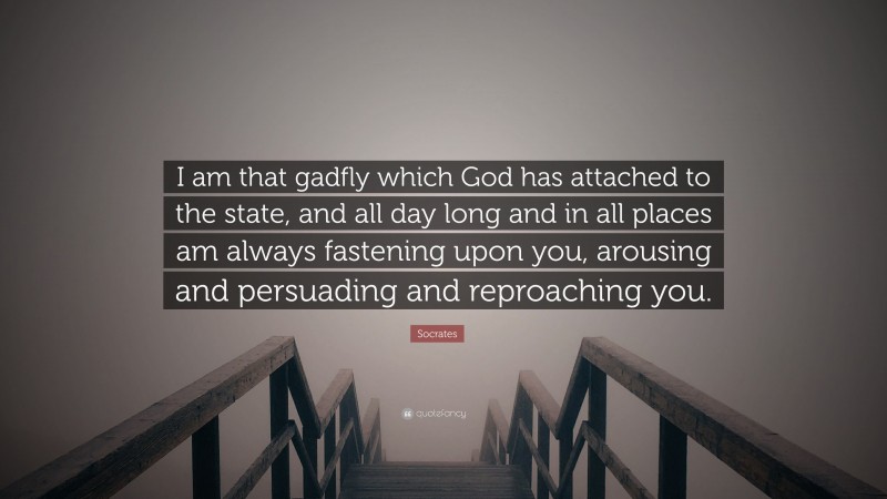 Socrates Quote: “I am that gadfly which God has attached to the state, and all day long and in all places am always fastening upon you, arousing and persuading and reproaching you.”