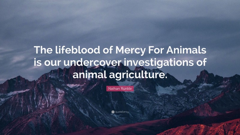 Nathan Runkle Quote: “The lifeblood of Mercy For Animals is our undercover investigations of animal agriculture.”