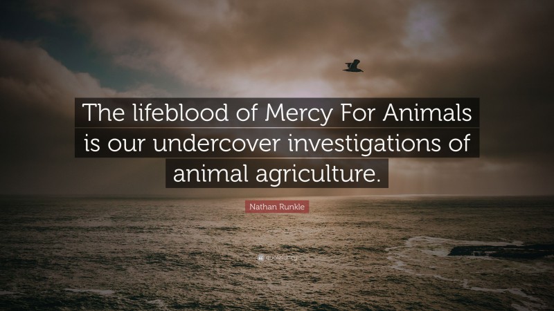 Nathan Runkle Quote: “The lifeblood of Mercy For Animals is our undercover investigations of animal agriculture.”