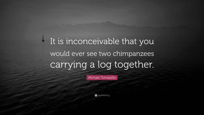 Michael Tomasello Quote: “It is inconceivable that you would ever see two chimpanzees carrying a log together.”