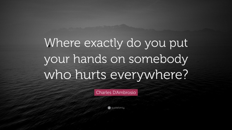 Charles D'Ambrosio Quote: “Where exactly do you put your hands on somebody who hurts everywhere?”