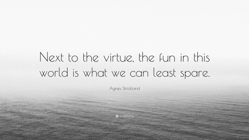 Agnes Strickland Quote: “Next to the virtue, the fun in this world is what we can least spare.”