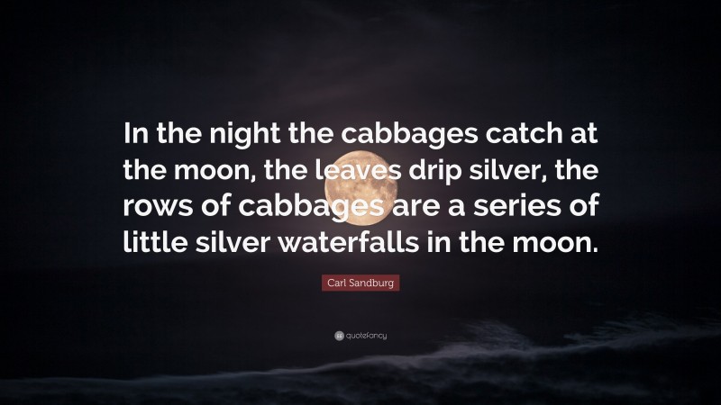 Carl Sandburg Quote: “In the night the cabbages catch at the moon, the leaves drip silver, the rows of cabbages are a series of little silver waterfalls in the moon.”