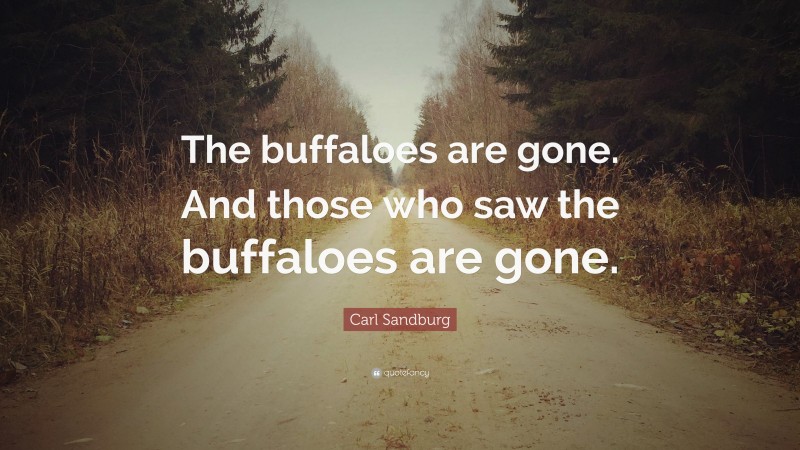 Carl Sandburg Quote: “The buffaloes are gone. And those who saw the buffaloes are gone.”