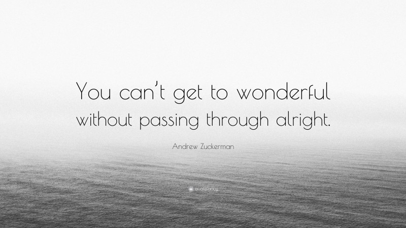 Andrew Zuckerman Quote: “You can’t get to wonderful without passing through alright.”