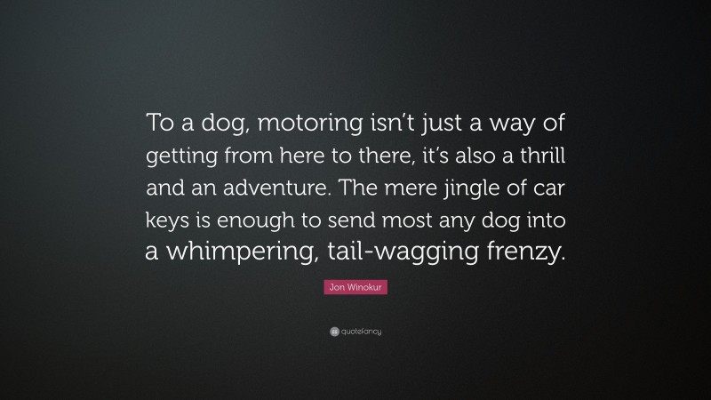 Jon Winokur Quote: “To a dog, motoring isn’t just a way of getting from here to there, it’s also a thrill and an adventure. The mere jingle of car keys is enough to send most any dog into a whimpering, tail-wagging frenzy.”