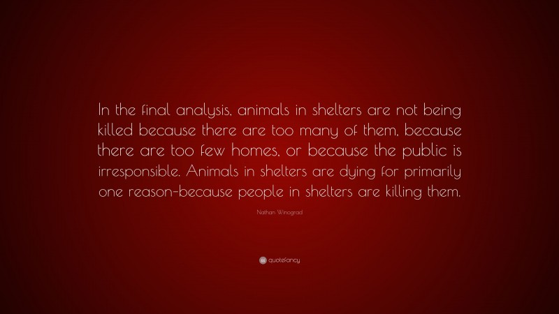 Nathan Winograd Quote: “In the final analysis, animals in shelters are not being killed because there are too many of them, because there are too few homes, or because the public is irresponsible. Animals in shelters are dying for primarily one reason–because people in shelters are killing them.”