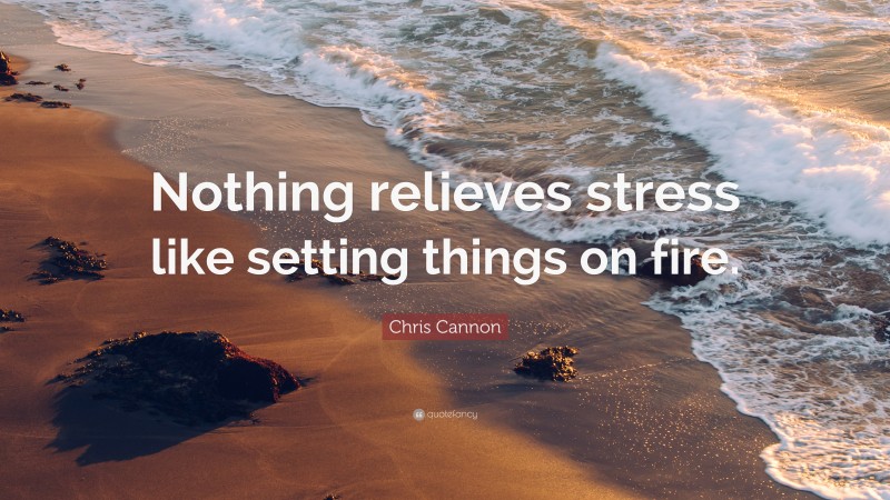Chris Cannon Quote: “Nothing relieves stress like setting things on fire.”