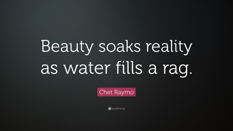 Chet Raymo Quote: “Beauty soaks reality as water fills a rag.”