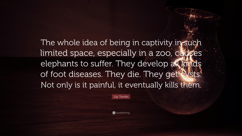 Lily Tomlin Quote: “The whole idea of being in captivity in such limited space, especially in a zoo, causes elephants to suffer. They develop all kinds of foot diseases. They die. They get cysts. Not only is it painful, it eventually kills them.”