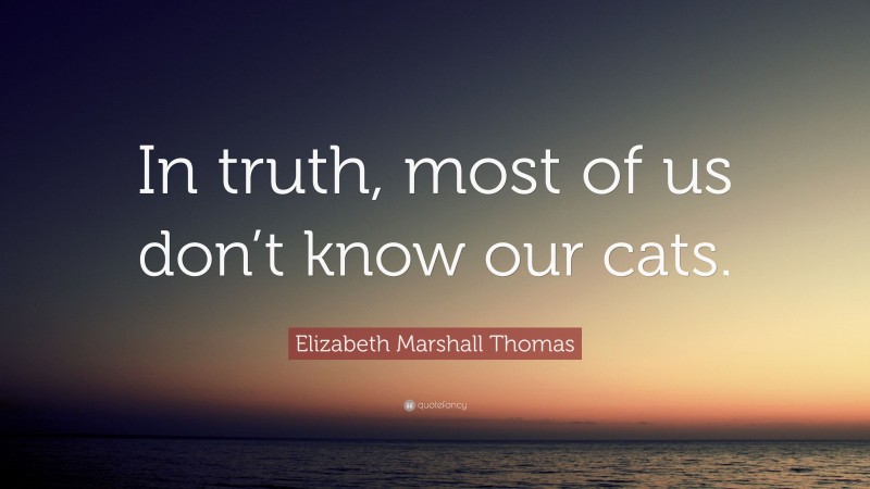 Elizabeth Marshall Thomas Quote: “In truth, most of us don’t know our cats.”