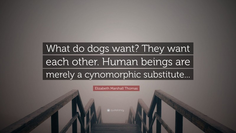 Elizabeth Marshall Thomas Quote: “What do dogs want? They want each other. Human beings are merely a cynomorphic substitute...”