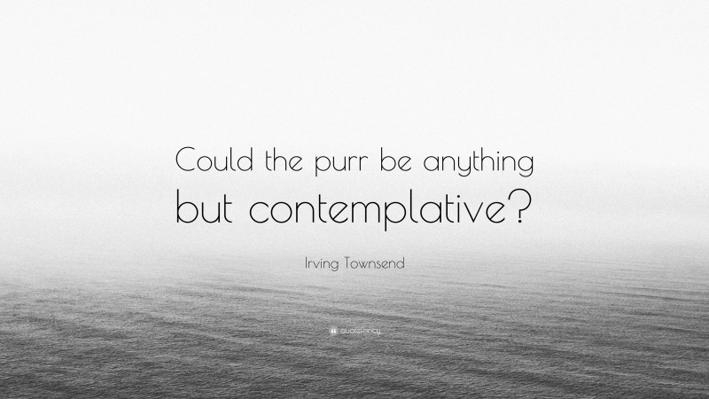 Irving Townsend Quote: “Could the purr be anything but contemplative?”