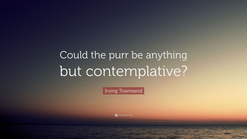 Irving Townsend Quote: “Could the purr be anything but contemplative?”