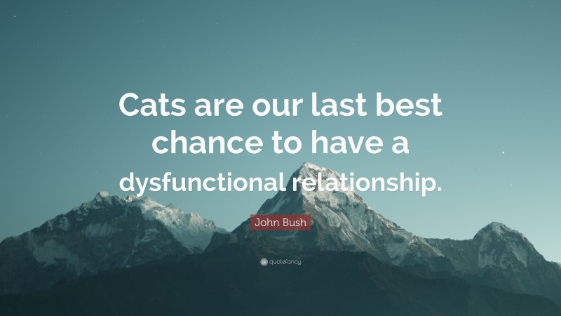 John Bush Quote: “Cats are our last best chance to have a dysfunctional relationship.”