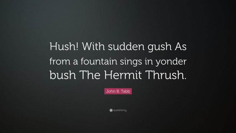 John B. Tabb Quote: “Hush! With sudden gush As from a fountain sings in yonder bush The Hermit Thrush.”