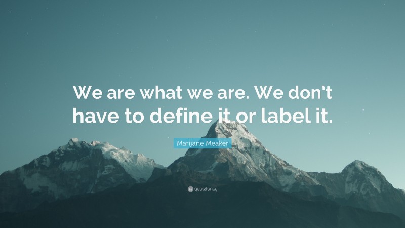 Marijane Meaker Quote: “We are what we are. We don’t have to define it or label it.”