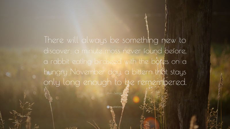 Ann Zwinger Quote: “There will always be something new to discover: a minute moss never found before, a rabbit eating birdseed with the bores on a hungry November day, a bittern that stays only long enough to be remembered.”