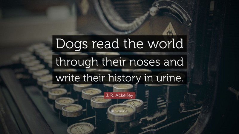 J. R. Ackerley Quote: “Dogs read the world through their noses and write their history in urine.”