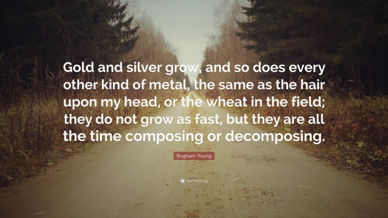 Brigham Young Quote: “Gold and silver grow, and so does every other kind of metal, the same as the hair upon my head, or the wheat in the field; they do not grow as fast, but they are all the time composing or decomposing.”