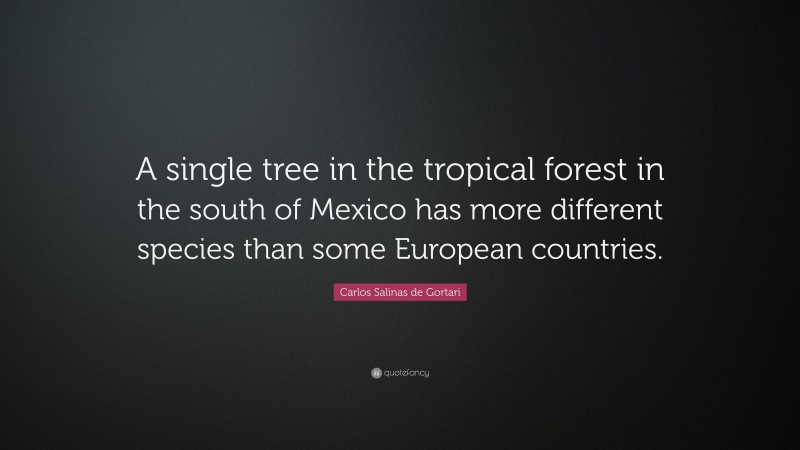 Carlos Salinas de Gortari Quote: “A single tree in the tropical forest in the south of Mexico has more different species than some European countries.”
