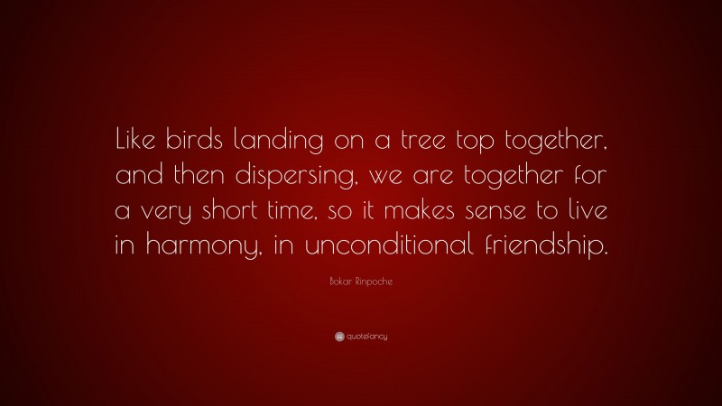 Bokar Rinpoche Quote: “Like birds landing on a tree top together, and then dispersing, we are together for a very short time, so it makes sense to live in harmony, in unconditional friendship.”
