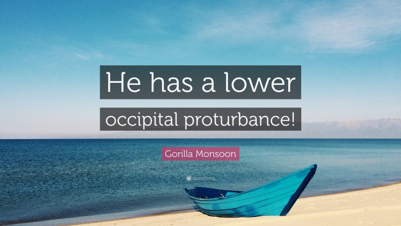 Gorilla Monsoon Quote: “He has a lower occipital proturbance!”