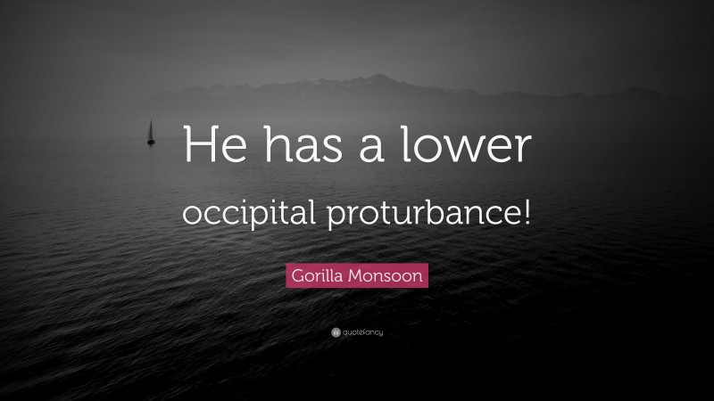 Gorilla Monsoon Quote: “He has a lower occipital proturbance!”