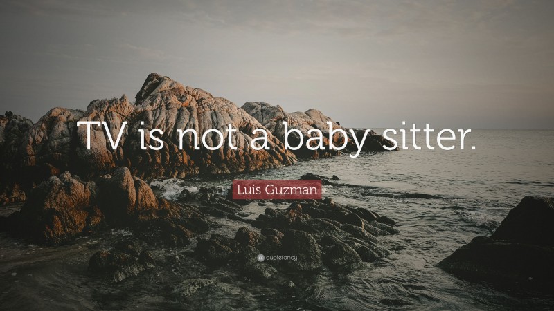 Luis Guzman Quote: “TV is not a baby sitter.”