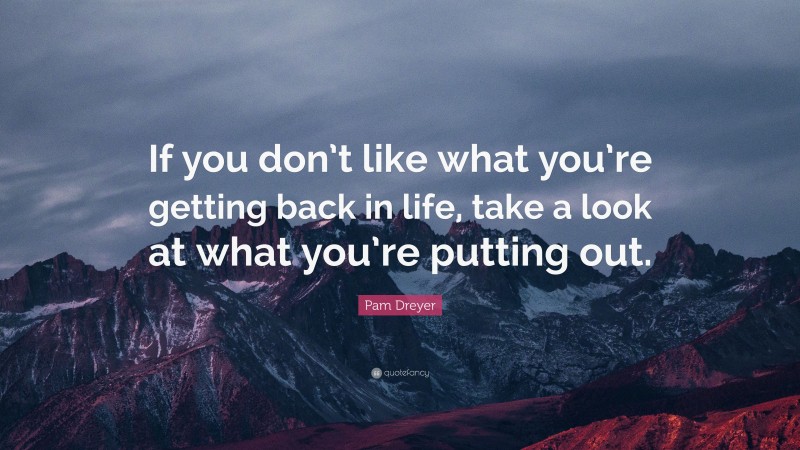 Pam Dreyer Quote: “If you don’t like what you’re getting back in life, take a look at what you’re putting out.”