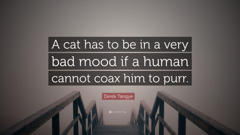 Derek Tangye Quote: “A cat has to be in a very bad mood if a human cannot coax him to purr.”