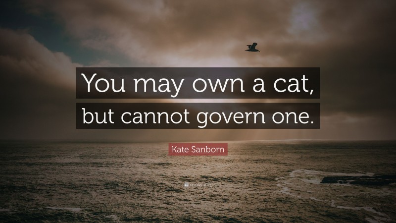 Kate Sanborn Quote: “You may own a cat, but cannot govern one.”