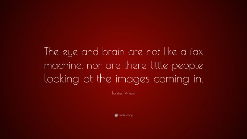 Torsten Wiesel Quote: “The eye and brain are not like a fax machine, nor are there little people looking at the images coming in.”