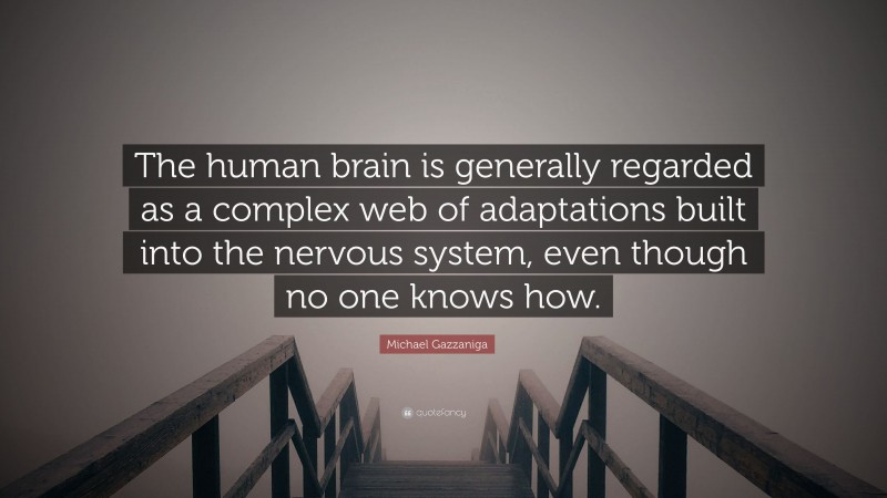 Michael Gazzaniga Quote: “The human brain is generally regarded as a complex web of adaptations built into the nervous system, even though no one knows how.”