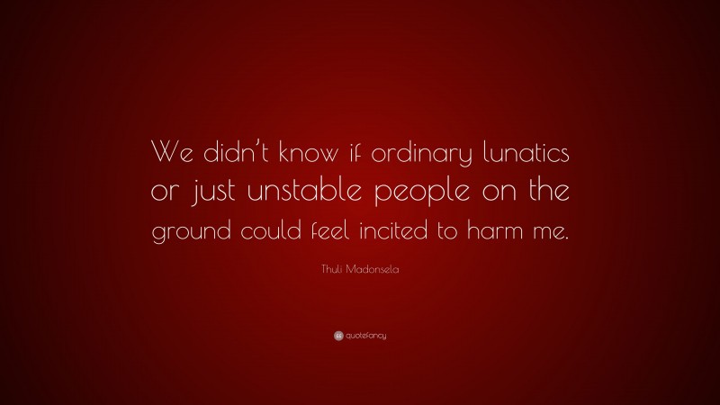 Thuli Madonsela Quote: “We didn’t know if ordinary lunatics or just unstable people on the ground could feel incited to harm me.”
