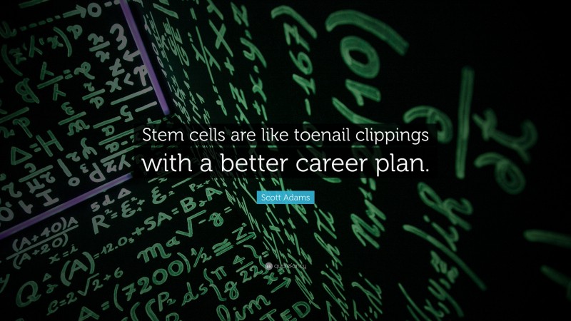 Scott Adams Quote: “Stem cells are like toenail clippings with a better career plan.”