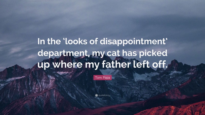Tom Papa Quote: “In the ‘looks of disappointment’ department, my cat has picked up where my father left off.”
