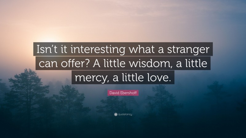 David Ebershoff Quote: “Isn’t it interesting what a stranger can offer? A little wisdom, a little mercy, a little love.”