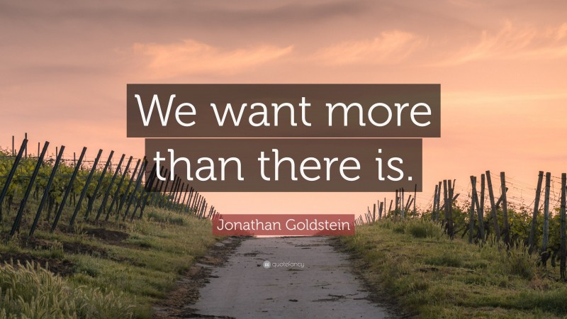 Jonathan Goldstein Quote: “We want more than there is.”